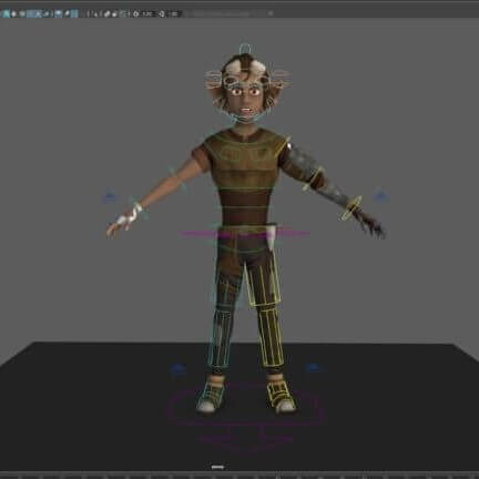 Character Rig